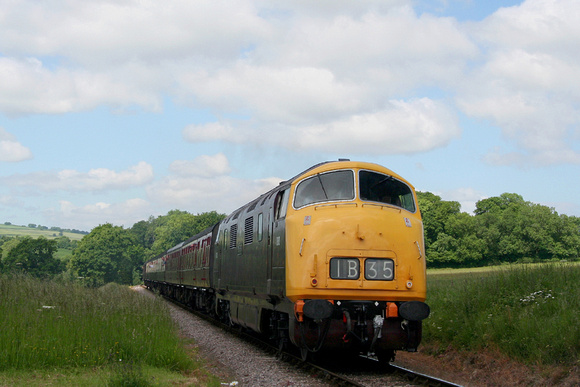 Class 42 D832 Leigh Wood Crossing 12.06.2010